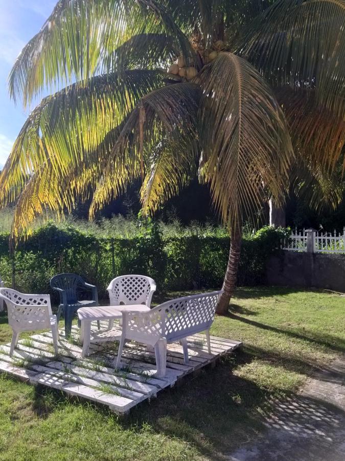 Aquaverde Eco Et Confort- Bas De Villa Avec Jardin Et Parking Le Gosier  Zewnętrze zdjęcie