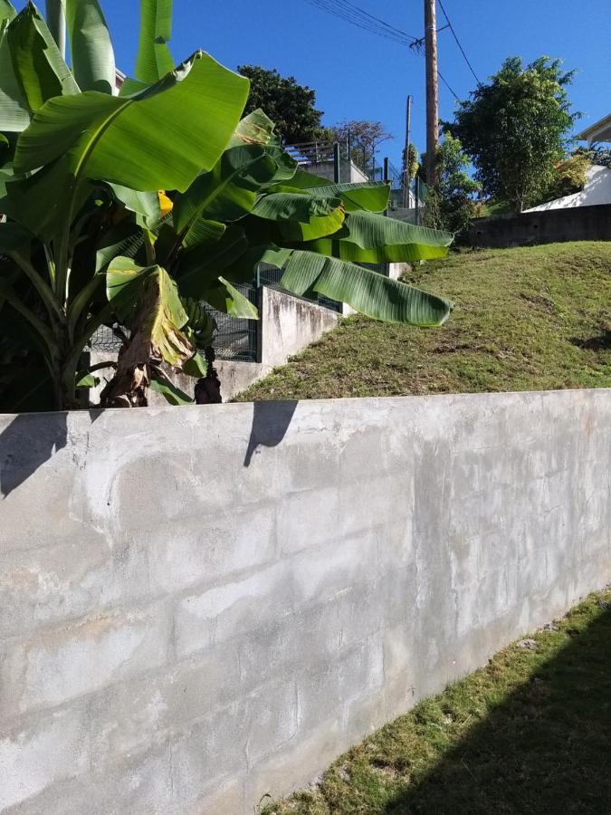 Aquaverde Eco Et Confort- Bas De Villa Avec Jardin Et Parking Le Gosier  Zewnętrze zdjęcie